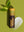 Poppy & Pout Lip Balm