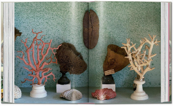 Listri. Cabinet of Curiosities