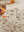 Mandarines Rouille Tablecloth