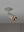 EXHAUST SPOT / CROSS / STONE