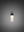 PUNCH BULB / FORKED / OPAL