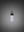 PUNCH BULB / FORKED / OPAL