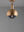 FORKED CEILING / LINEAR / SHADE / GLOBE / SMOKED / MEDIUM