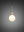 FORKED PENDANT / LINEAR / GLOBE / OPAL / MEDIUM