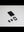1G PLATE / WITH LOGO