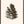 Pinecones Passion