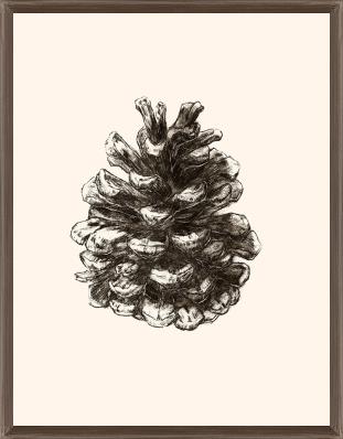 Pinecones Passion