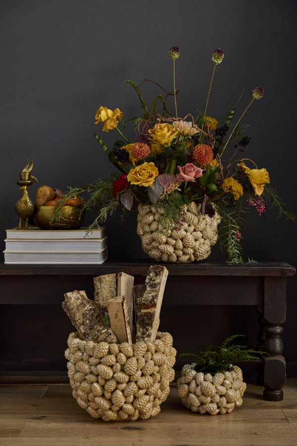 Pinecone Pot