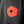 Poppy With Me Back Print T Shirt