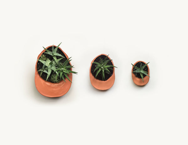 Terracotta Hat Planter