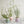 Spring Pot with Saucer