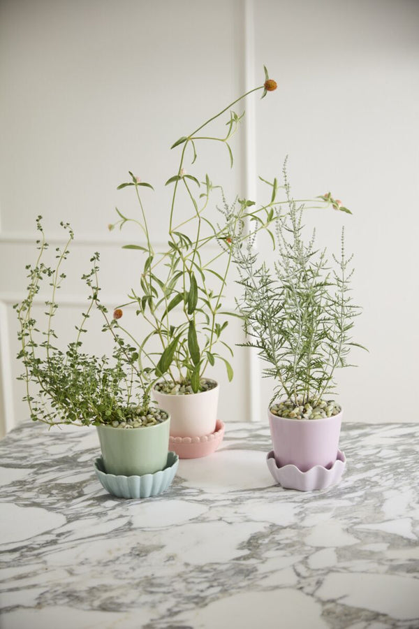 Spring Pot with Saucer