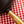 PAN / 11.02 INCHES / CROSS / STAUB