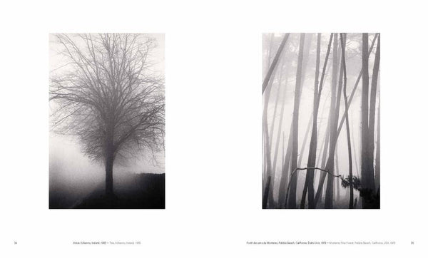 Michael Kenna: Trees