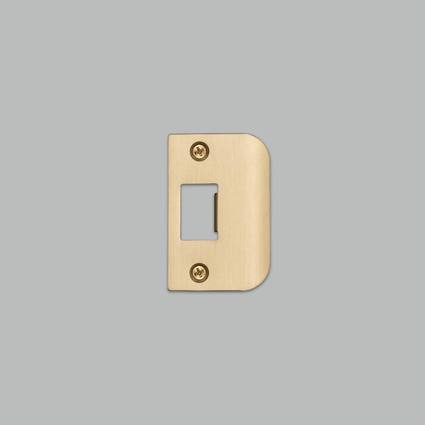 STRIKE PLATE KIT / D SHAPED / STANDARD DOOR