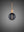 FORKED GLOBE / MEDIUM