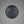 FORKED GLOBE / LARGE