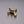 SKULL DRUM KEY / TRAVIS BARKER