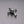 SKULL DRUM KEY / TRAVIS BARKER