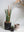 Ceramic Pot