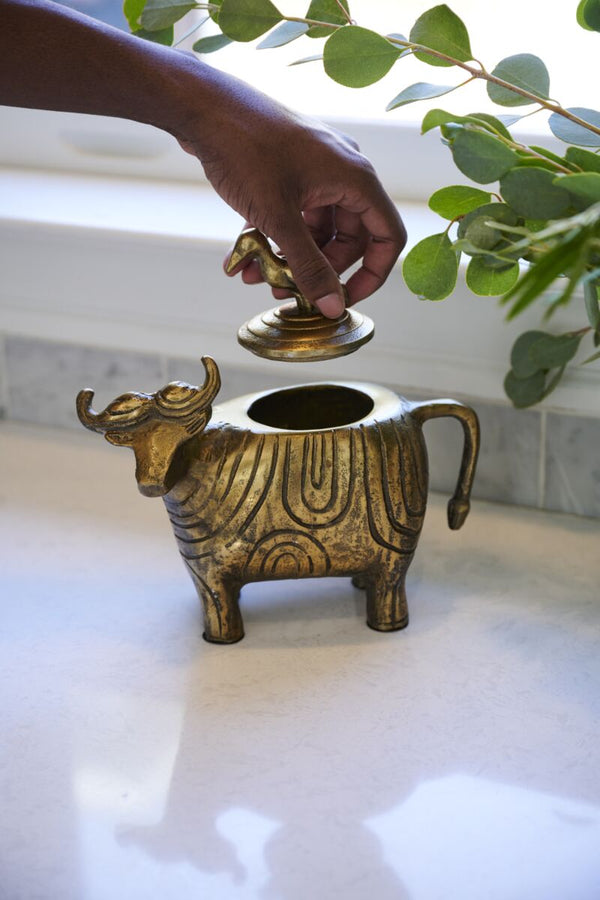 Water Buffalo Decor