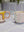 Wild Tail Mugs