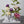Shelf Budvase