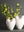 Zenith Vase